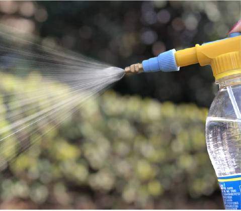 Tête de pulvérisateur pour bouteille