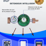 Détendeur De Gaz Avec Système De Sécurité